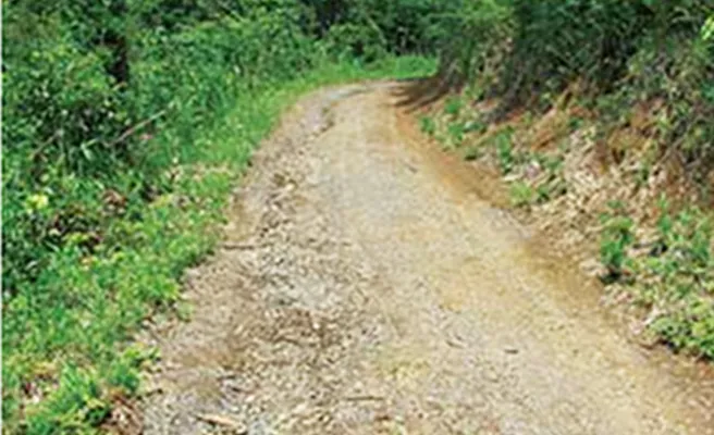 着工前（林道）